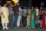 Telugabbai Movie Audio Launch - 13 of 48