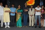 Telugabbai Movie Audio Launch - 18 of 48