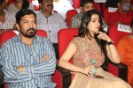 Temper Audio Launch 02 - 2 of 57