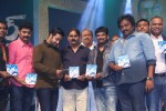 Temper Audio Launch 05 - 52 of 103