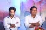 Temper Movie Success Meet 02 - 95 of 180