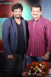 Temper Movie Success Meet 02 - 179 of 180