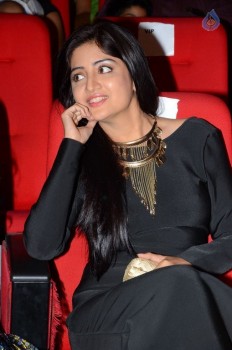 Thikka Audio Launch 2 - 45 of 57