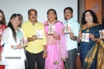 Third Man Movie Audio Launch - 61 of 73