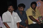 Thulli Ezhunthathu Kaadhal Tamil Movie Audio Launch - 42 of 45