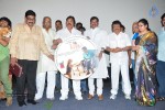 Tommy Movie Audio Launch - 29 of 75