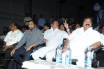 Tommy Movie Audio Launch - 30 of 75