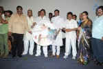 Tommy Movie Audio Launch - 50 of 75