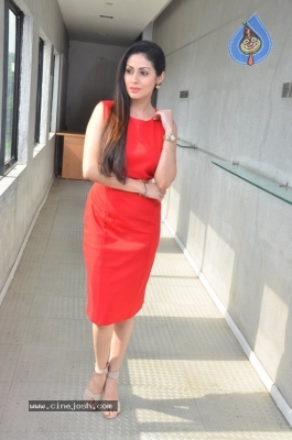 Torch Light Movie Press Meet - 9 of 18