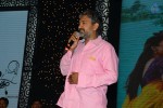 Tungabhadra Audio Launch 02 - 6 of 44