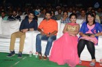 Tungabhadra Audio Launch 02 - 29 of 44