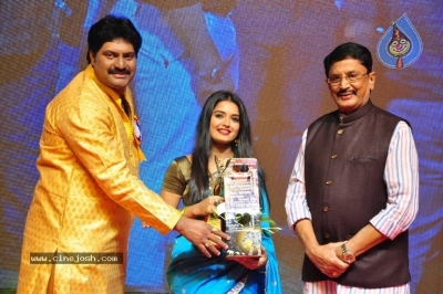 V B Entertainments Bullitera Awards 2019 Photos - 42 of 107