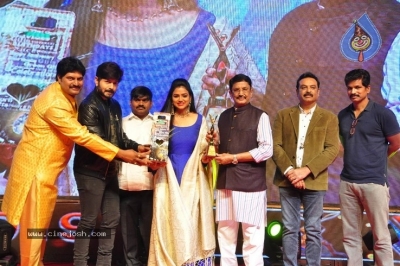 V B Entertainments Bullitera Awards 2019 Photos - 107 of 107