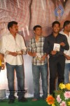 Vaishali Movie Audio Launch  - 95 of 101