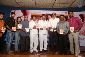 Vajralu Kavala Nayana Audio Launch - 14 of 21