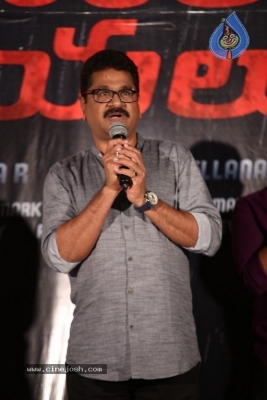 Veera Bhoga Vasantha Rayalu First Look Launch - 18 of 30