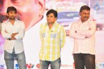 Vinavayya Ramayya Audio Launch 03 - 45 of 50