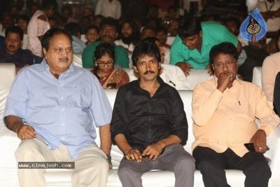 Vinaya Vidheya Rama Pre Release Event 01 - 7 of 42
