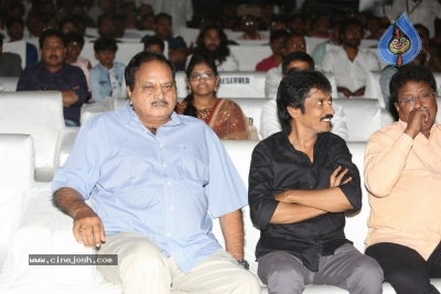 Vinaya Vidheya Rama Pre Release Event 01 - 18 of 42