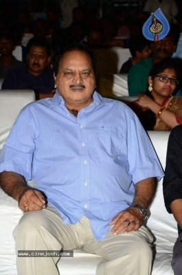 Vinaya Vidheya Rama Pre Release Event 01 - 19 of 42