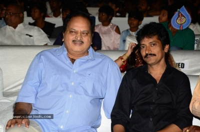 Vinaya Vidheya Rama Pre Release Event 01 - 35 of 42