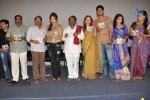 Writer Movie Audio Launch - 29 of 74