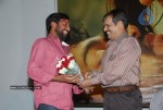 Yama Kantri Movie Audio Launch - 19 of 36