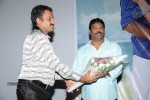 Yeduruleni Alexander Audio Launch - 119 of 125