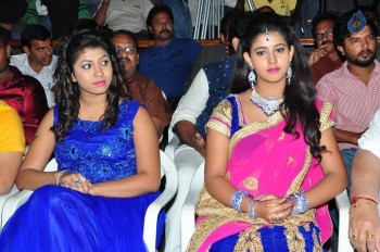 Yeluka Majaka Audio Launch - 46 of 48