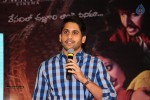 Yevade Subramanyam Success Meet - 72 of 75