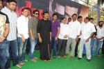 Yevadu Movie Opening  - 31 of 169