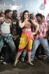 Zarine Khan at Naan Rajavaaga Pogiren Shooting Spot - 8 of 64