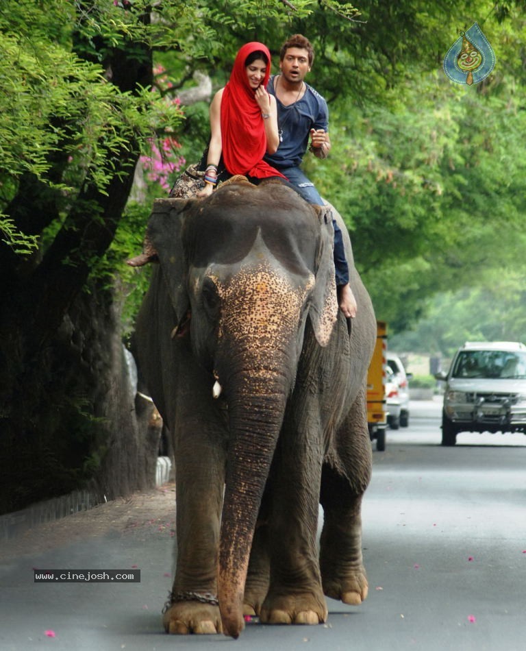 7th Sense Movie New Stills - 29 / 49 photos