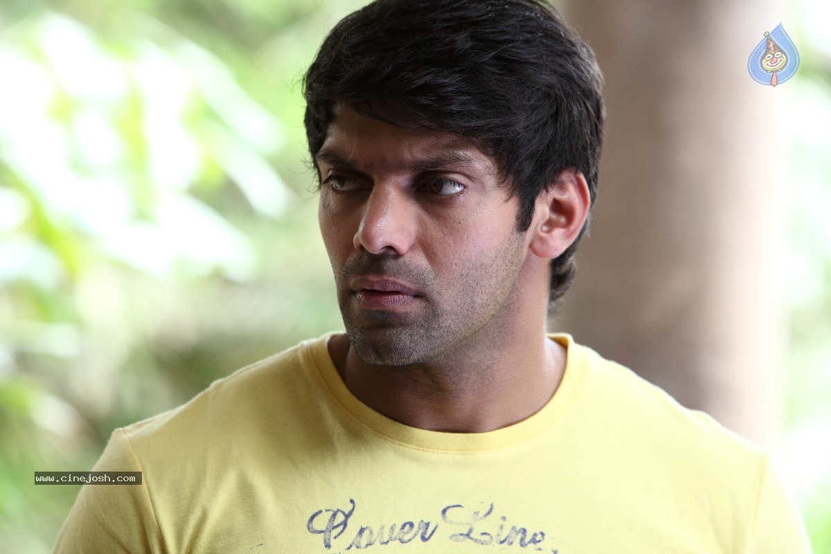 Aata Aarambam Movie Stills n Walls - 40 / 122 photos