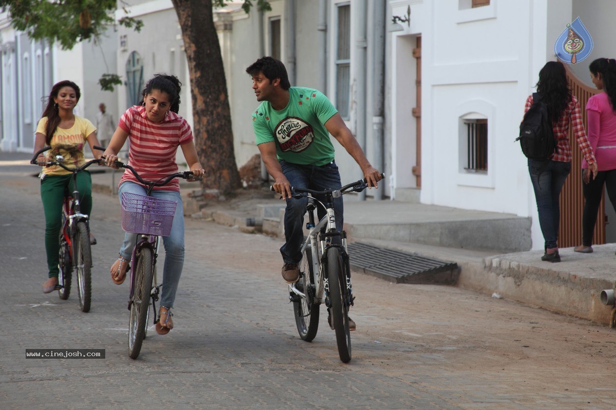 Aata Aarambam Movie Stills n Walls - 68 / 122 photos