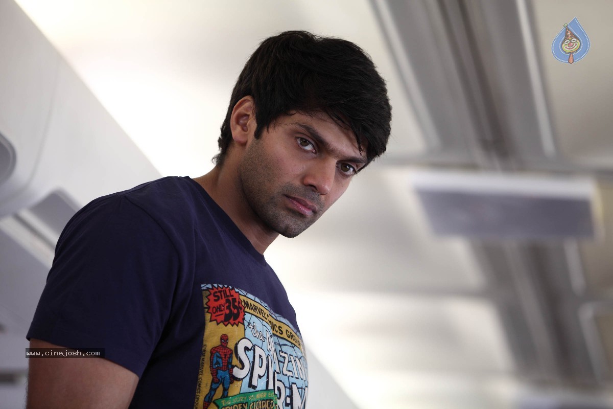 Aata Aarambam Movie Stills n Walls - 103 / 122 photos