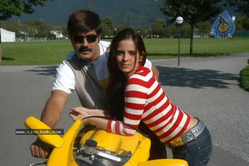 America Alludu Movie Stills - 43 / 59 photos