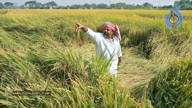 Annadata Sukhibhava Movie Stills - 9 / 20 photos
