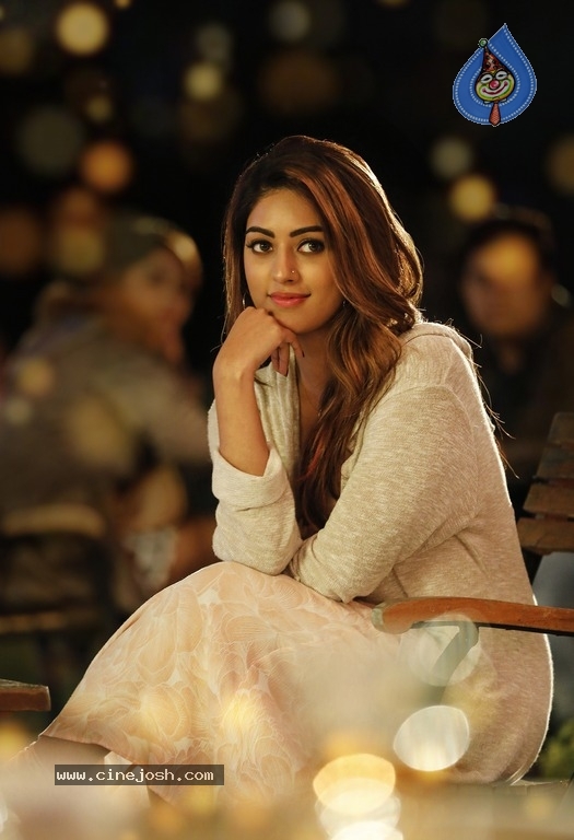 Anu Emmanuel Birthday Poster And Still - 2 / 2 photos