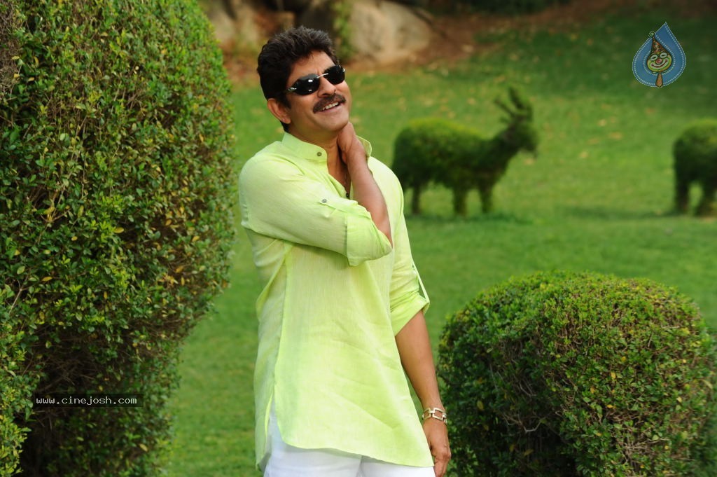 April Fool Movie Photos - 11 / 21 photos