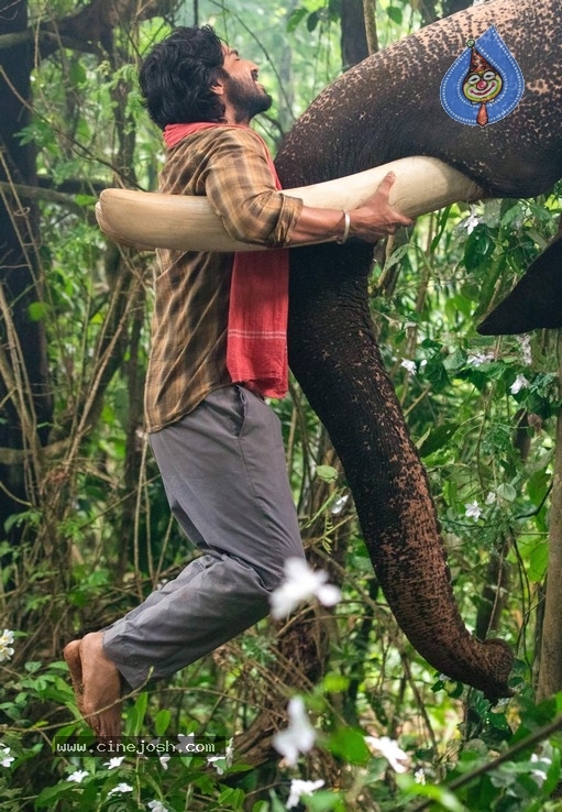 Aranya  Movie Stills - 2 / 6 photos