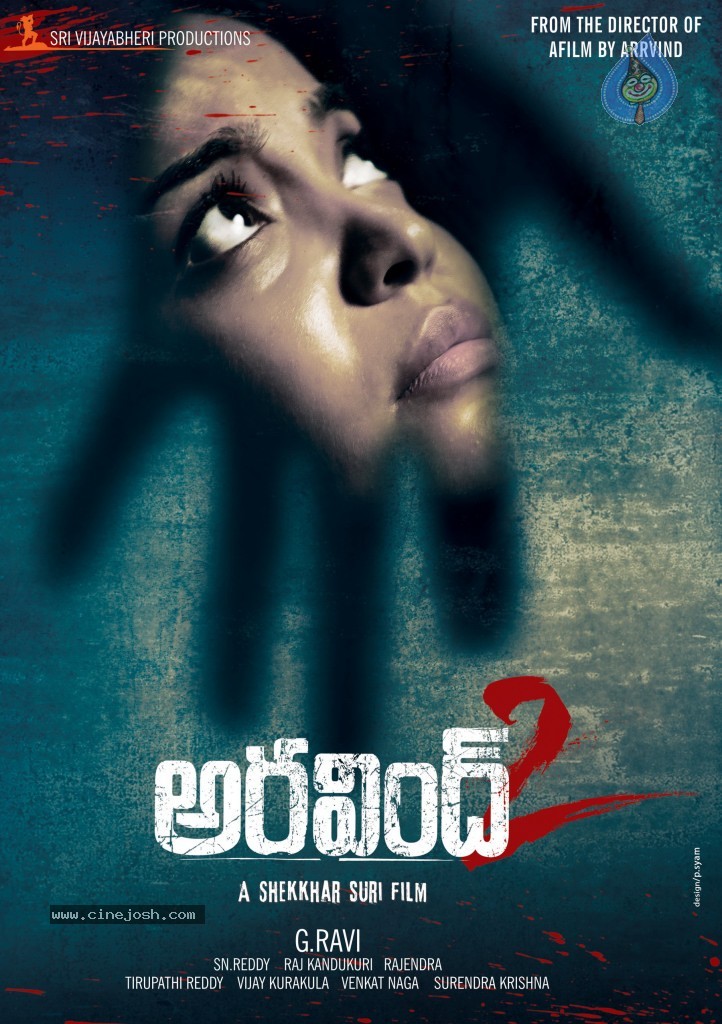 Aravind 2 Movie Wallpapers - 11 / 11 photos