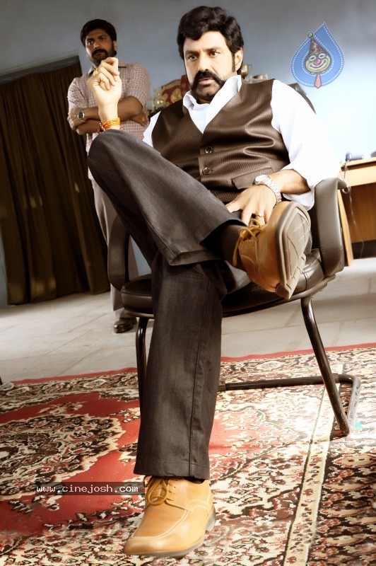 Balakrishna's Simha Movie Latest Gallery - 6 / 40 photos