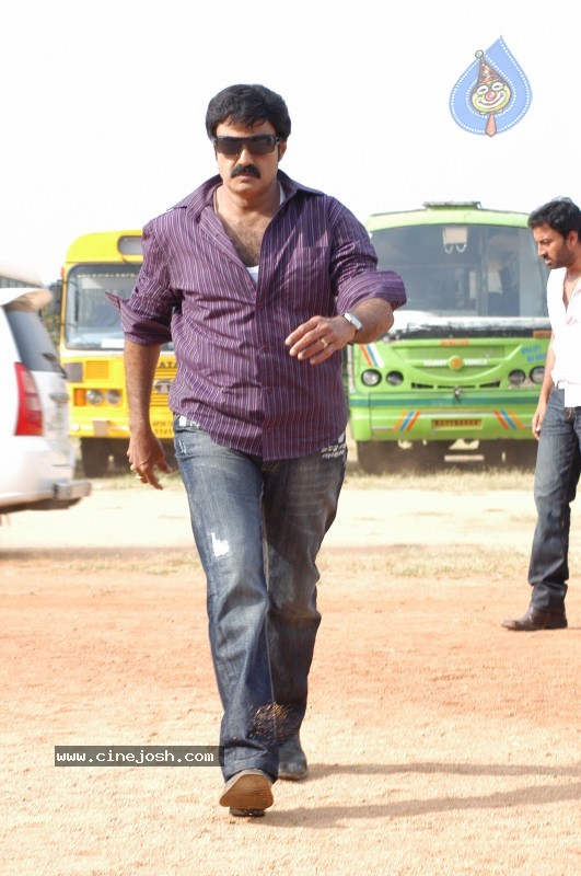 Balakrishna's Simha Movie Latest Gallery - 17 / 40 photos