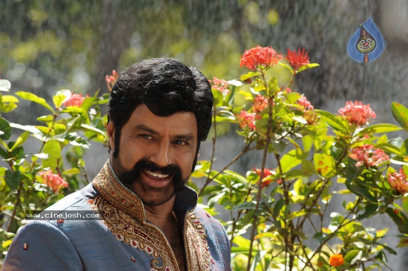 Balakrishna's Simha Movie Latest Gallery - 39 / 40 photos