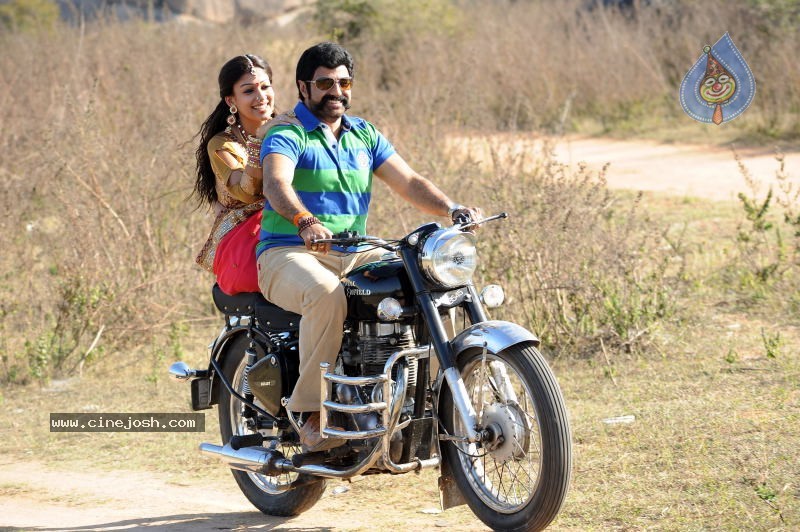 Balakrishna's Simha Movie New Gallery (Xclusive CineJosh) - 14 / 37 photos