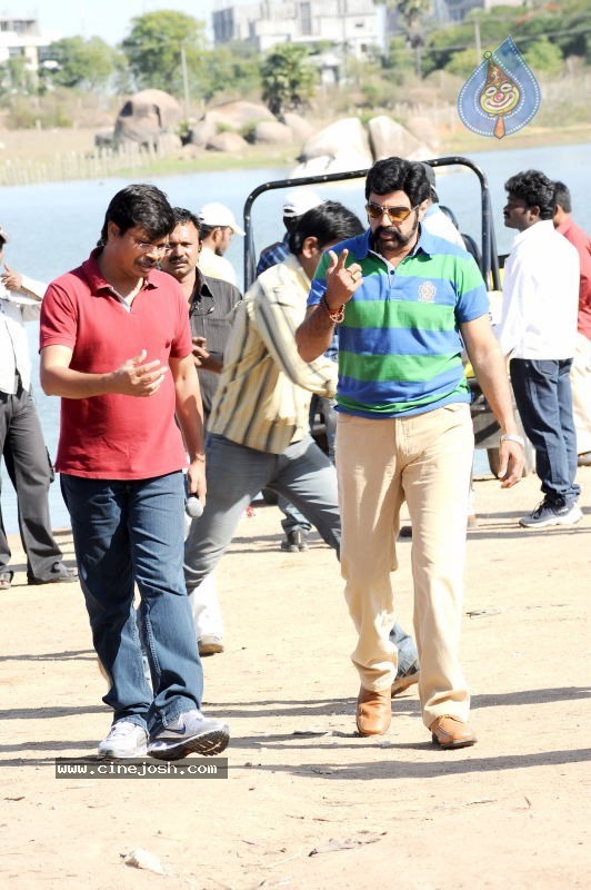 Balakrishna's Simha Movie New Gallery (Xclusive CineJosh) - 22 / 37 photos