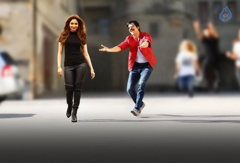 Bengal Tiger New Photos and Posters - 14 / 24 photos