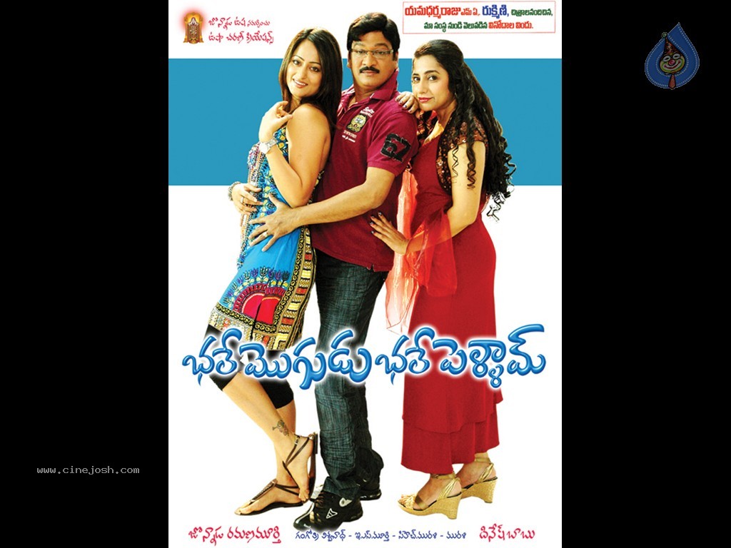 Bhale Mogudu Bhale Pellam Movie Walls - 7 / 18 photos
