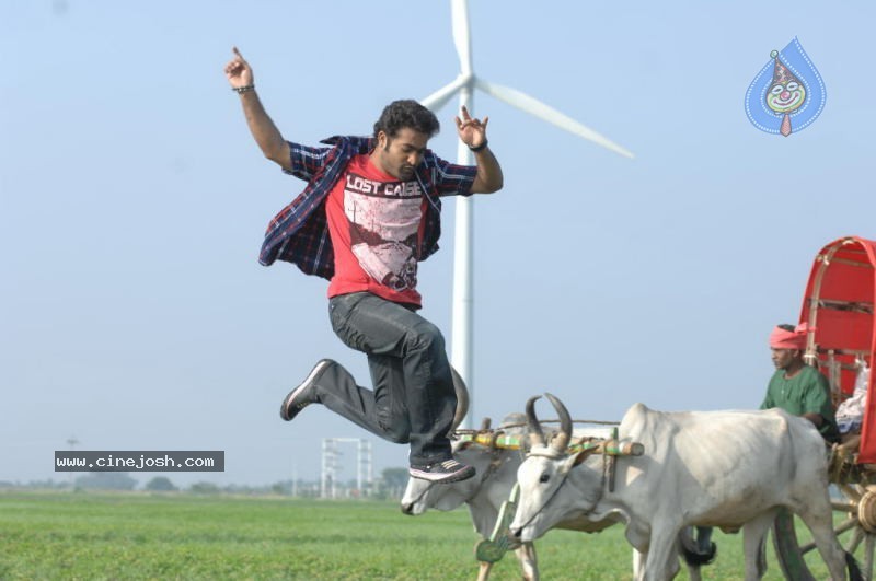 Brindavanam Movie Latest Stills - 9 / 22 photos